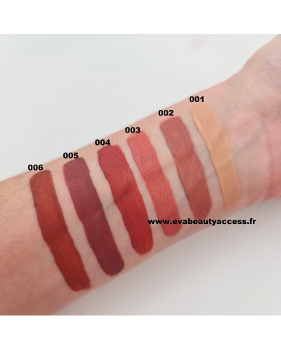 Swatch Rouge à Lèvre Liquide Mat • Maquillage Pas Cher • Eva Beauty Access