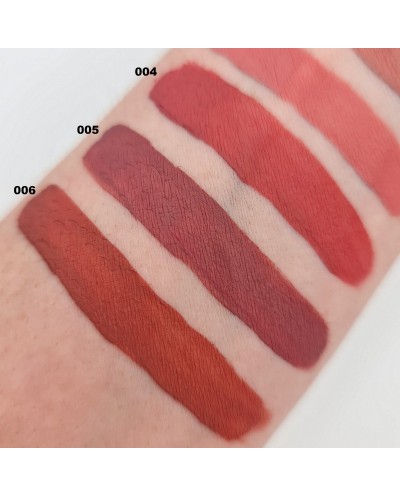 Swatch Rouge à Lèvre Liquide Mat 24H • Maquillage à Petit Prix • Eva Beauty Access